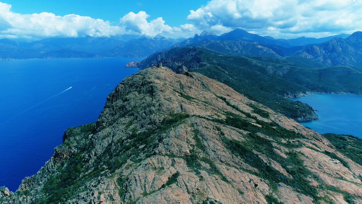 地中海の山」と称されるコルシカ島。山が多く、開発しやすい平野が