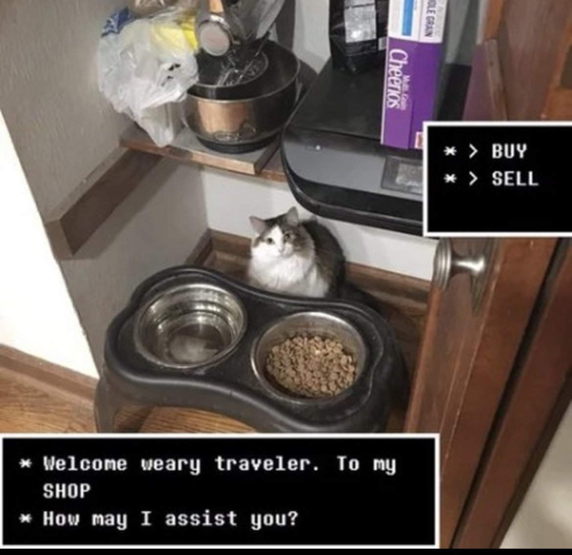 RespectfulMemes's tweet photo. https://t.co/XidgdKfX23