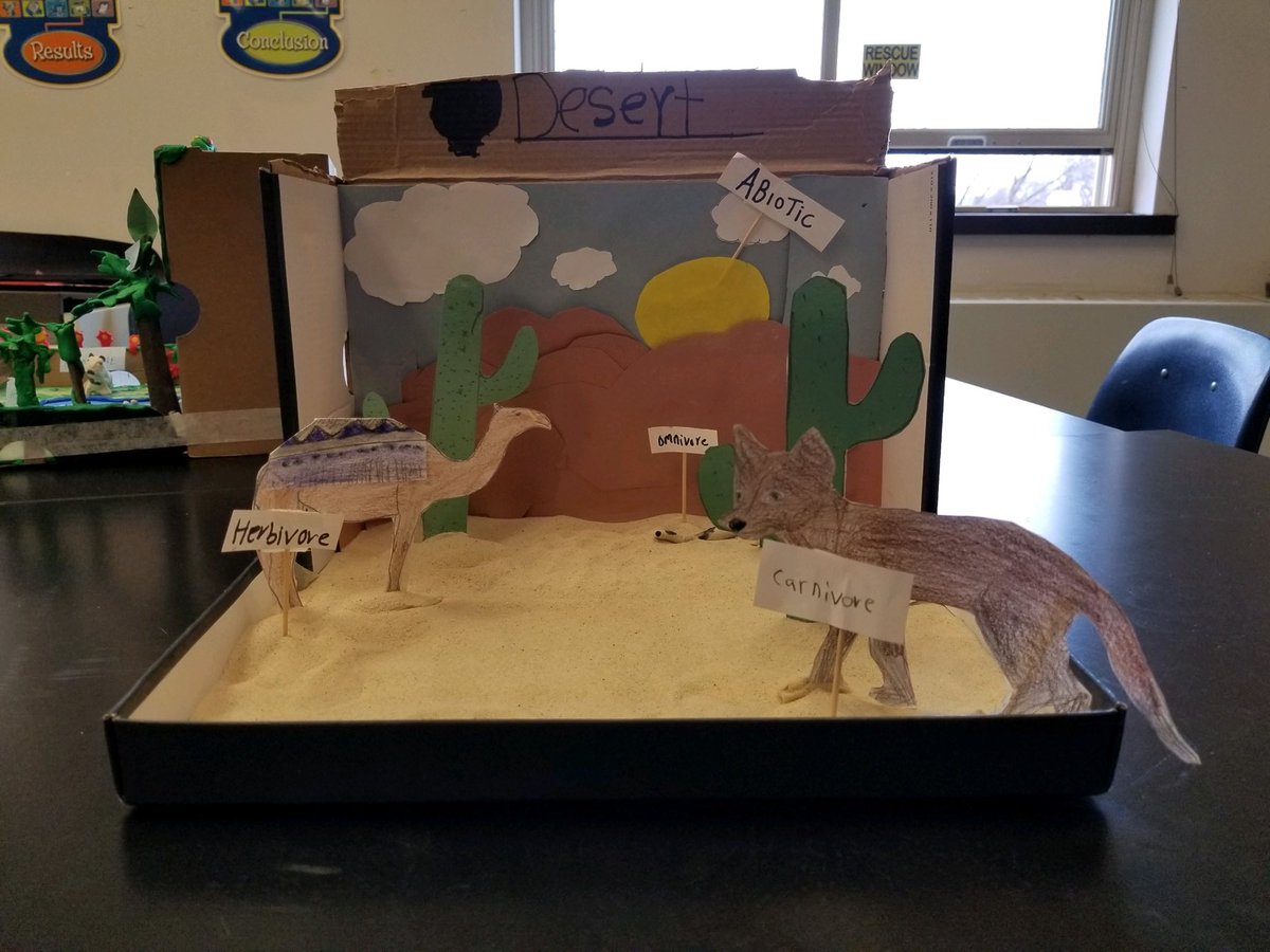 AIC_Dual's tweet photo. Middle school students at the AIC created dioramas to represent ecosystems in science class.  ⁦@albanyschools⁩ ⁦@AlbanyENL⁩ #allinforalbany https://t.co/o6QaO6GF1E