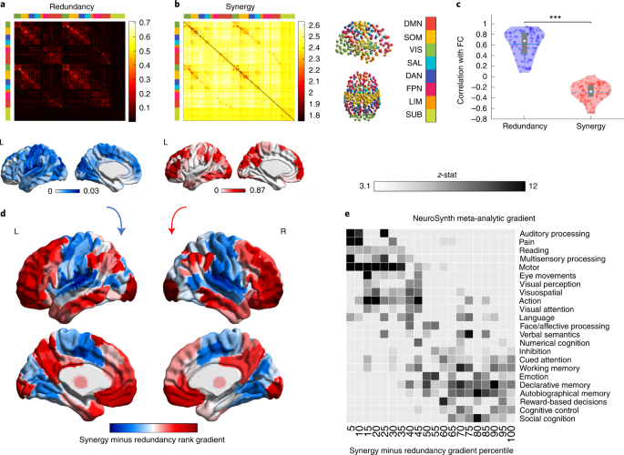 A synergistic core for human brain evolution and cognition dlvr.it/SR6ctP v/ @NatureNews