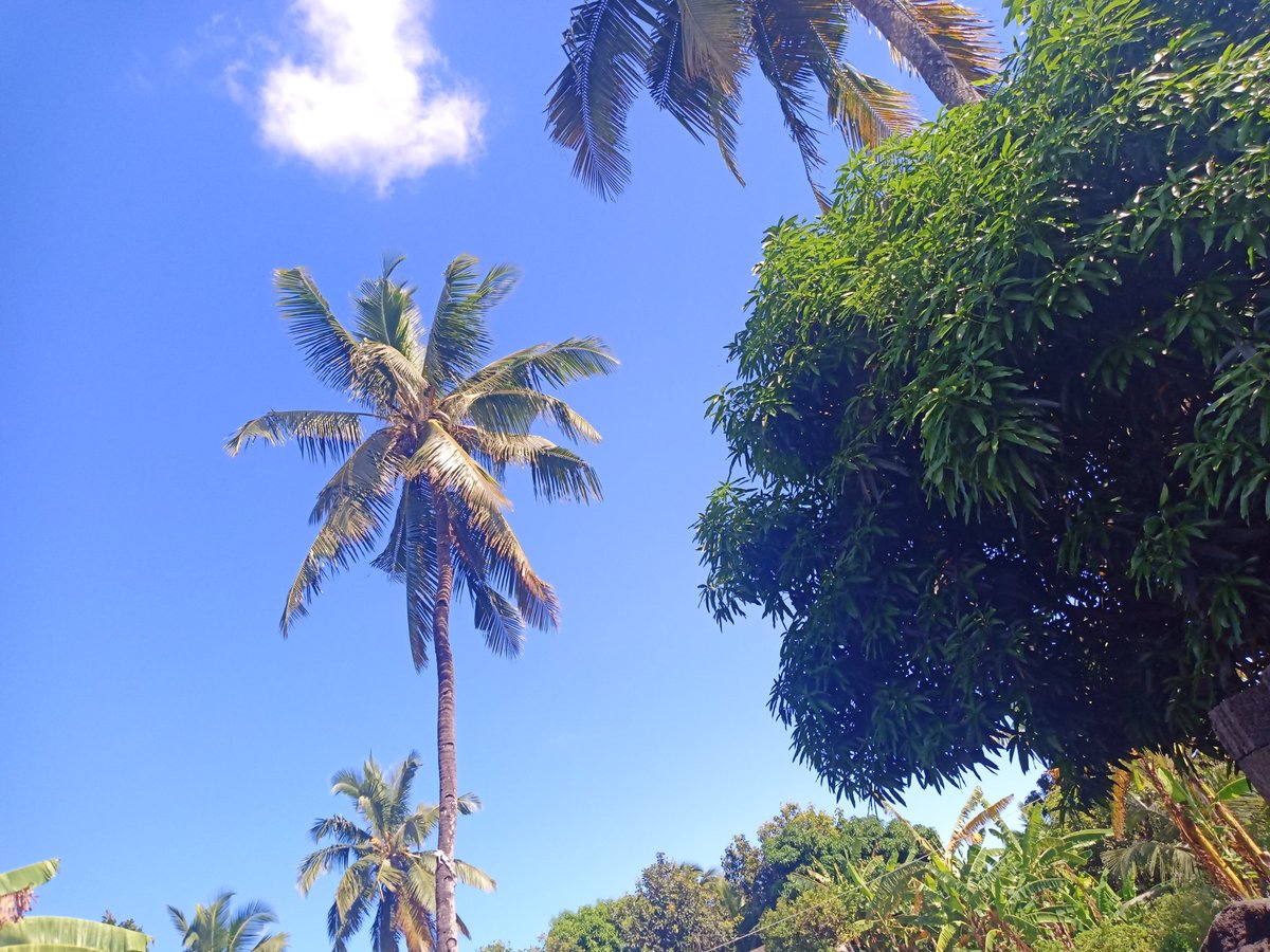 Mohammed Azria (@mohammedazria) on Twitter photo 