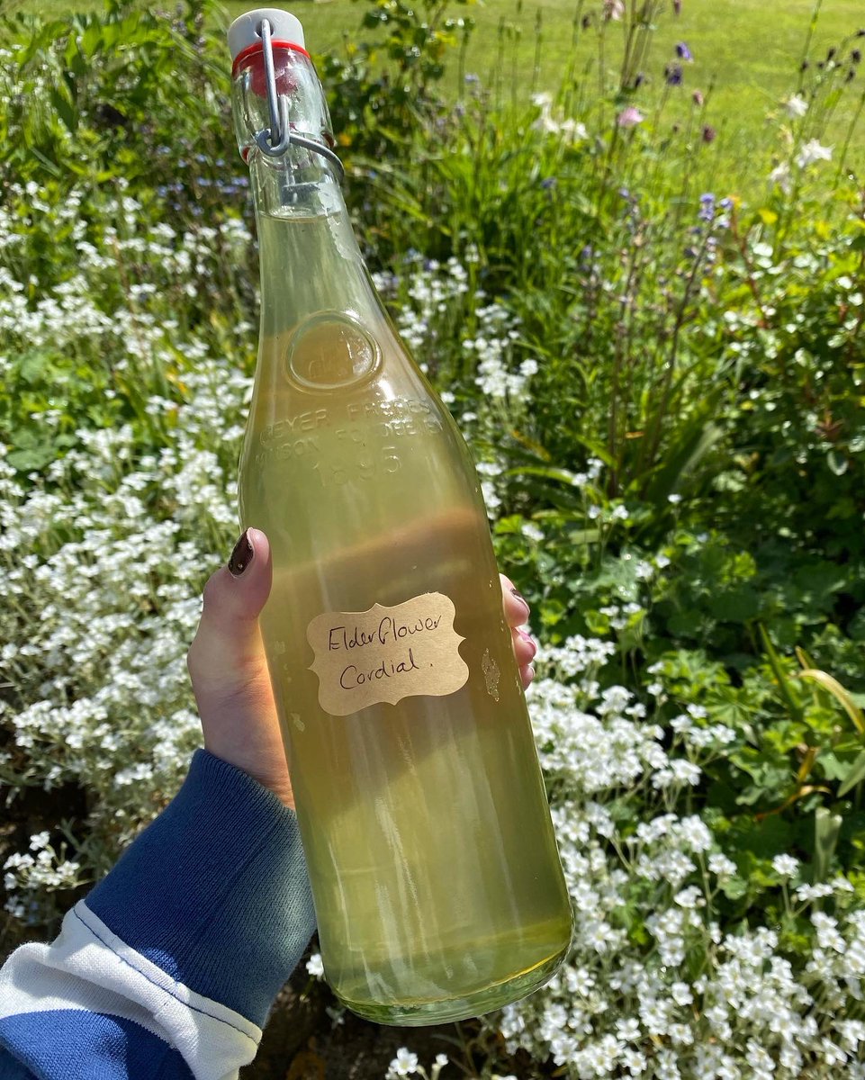 butcherbakerpo1's tweet photo. 🍴 Homemade elderflower cordial 💛 🍴

#elderflowercordial #elderflower #elderflowers #homemadeelderflowercordial #homemadecordial #elderflowerseason #foodpod #foodpodcast #foodiepodcast #foodpodcasts https://t.co/JZ6OVE4bFH