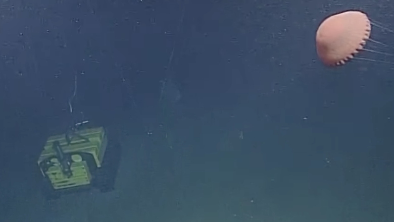 <a href="/PelagicServices/">PelagicResearchServices</a> is delighted to be able to help a fellow remotely operated vehicle -- little Wally whose Wally World is at <a href="/Ocean_Networks/">Ocean Networks 🇨🇦</a>. ROVs helping ROVs is a beautiful thing in the ocean and the world. #ONCabyss