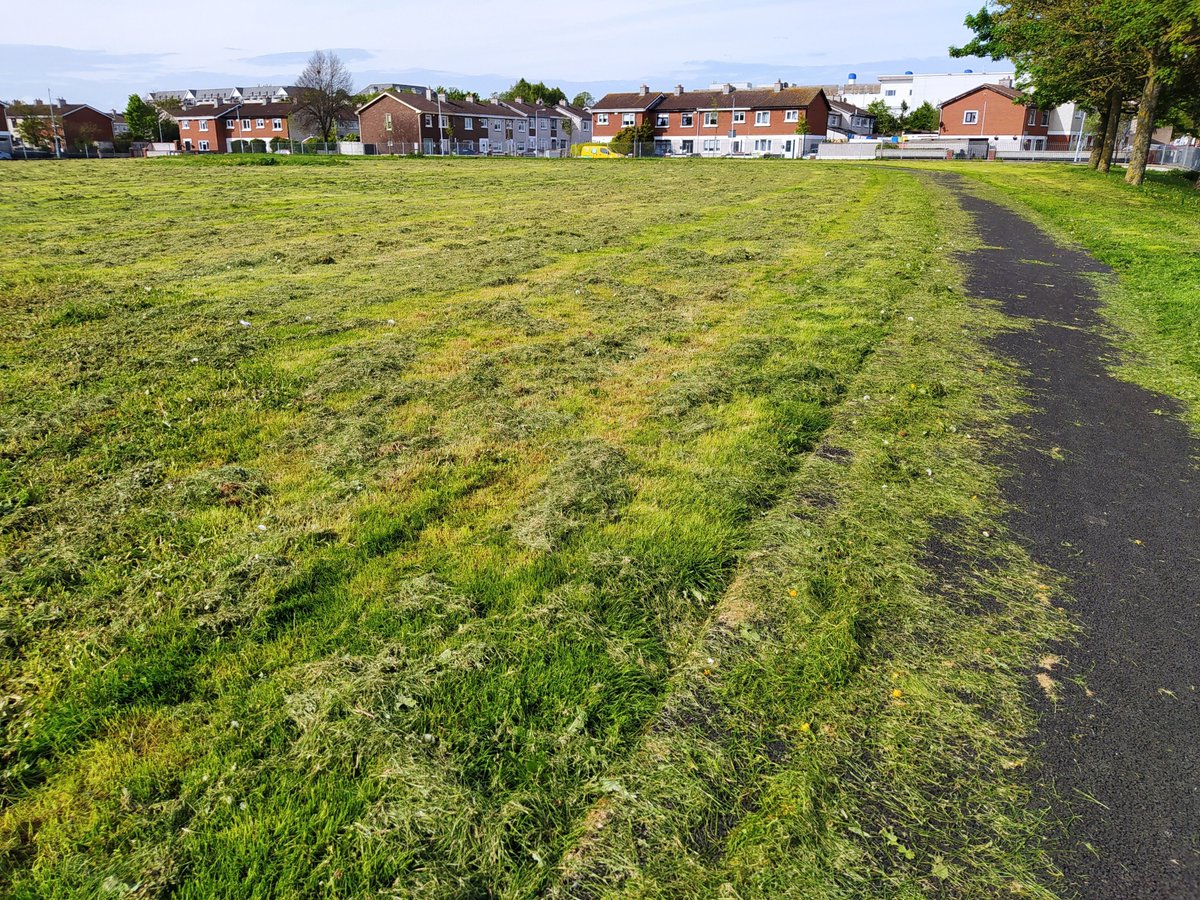 YeyesShamrock's tweet photo. @InchicoreEnviro @DCCParksBiodiv @dccscarea Same in #dunard pk in #Cabra, it's been non-stop mowing for the last two months... https://t.co/kDQIRVab48
