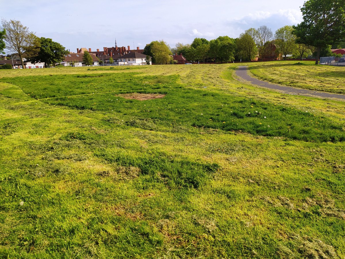 YeyesShamrock's tweet photo. @InchicoreEnviro @DCCParksBiodiv @dccscarea Same in #dunard pk in #Cabra, it's been non-stop mowing for the last two months... https://t.co/kDQIRVab48
