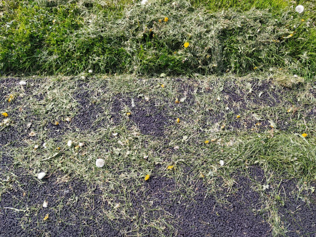 YeyesShamrock's tweet photo. @InchicoreEnviro @DCCParksBiodiv @dccscarea Same in #dunard pk in #Cabra, it's been non-stop mowing for the last two months... https://t.co/kDQIRVab48
