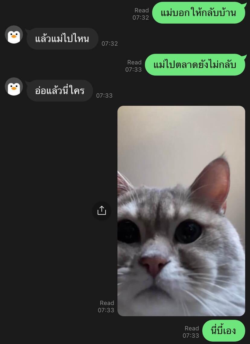 onlymelving's tweet photo. ทูน่าในอนาคต ? https://t.co/MfzUAsVA9I