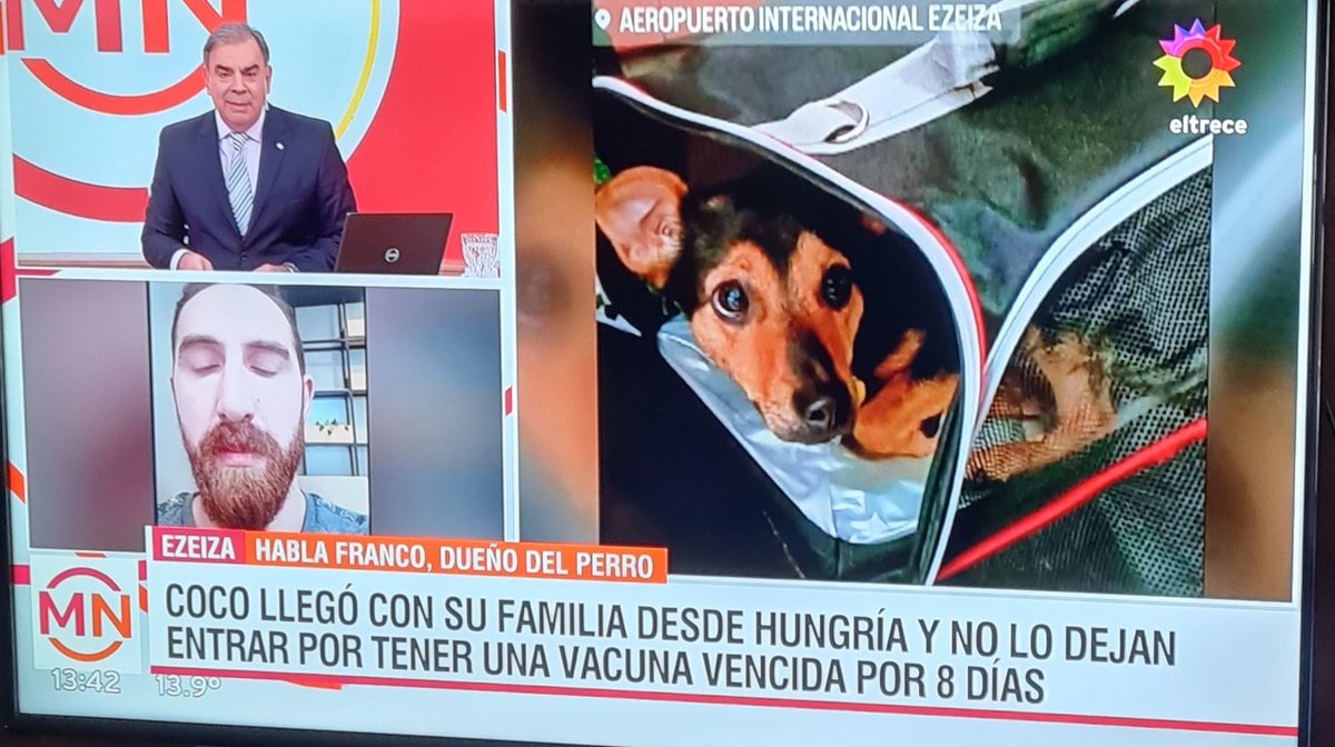 LoliR20's tweet image. #LiberenACocoYa