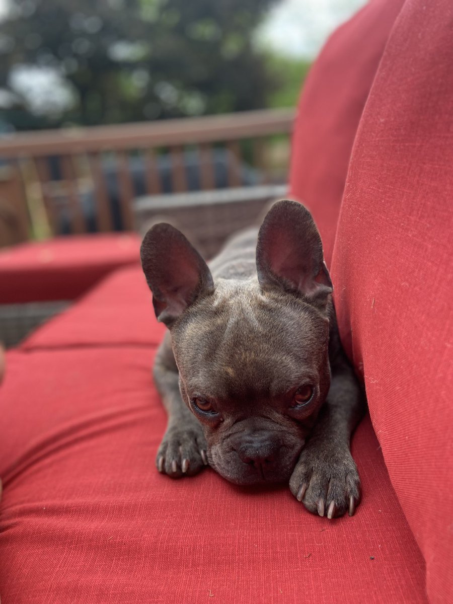 Office views were a little different today! Getting ready to hit the road and look for some future dragons! 🐉