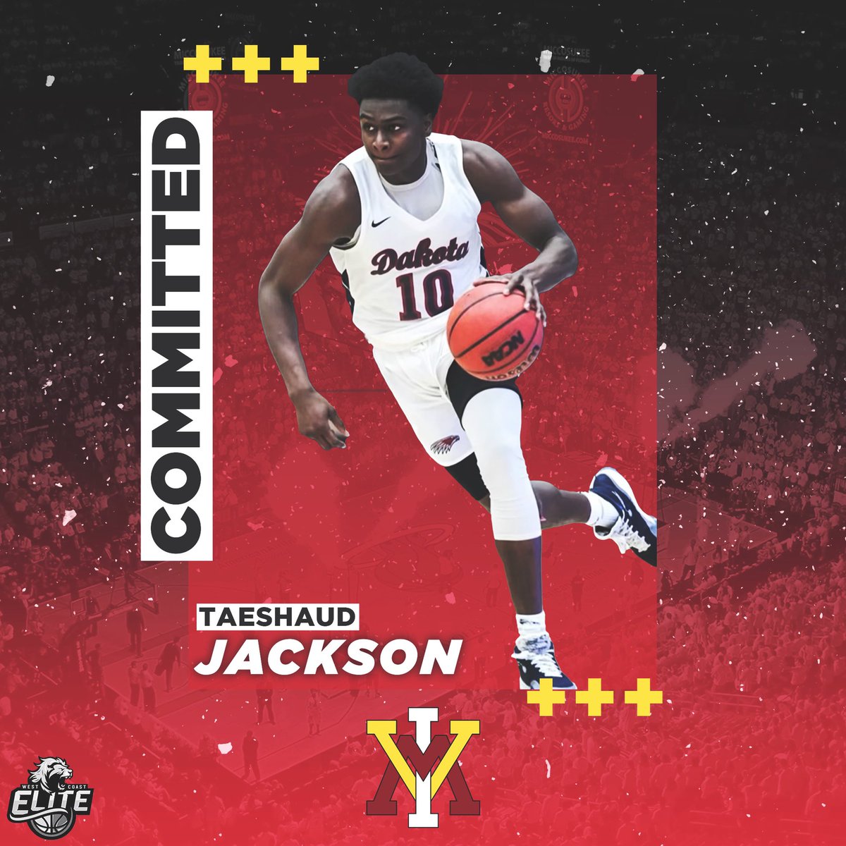 All In Elite UA tweet media
