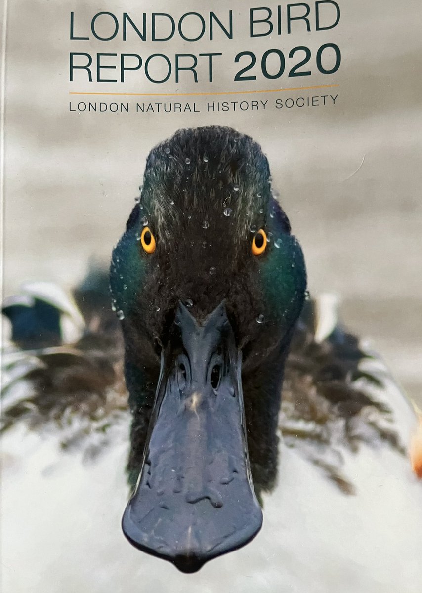 Just received my copy of the <a href="/LNHSoc/">LNHS</a> London Bird Report 2020 with an excellent cover photo by <a href="/rudraksh9/">Rudy</a>. The section on Geese to Shelduck is very good too, even if I say so myself…