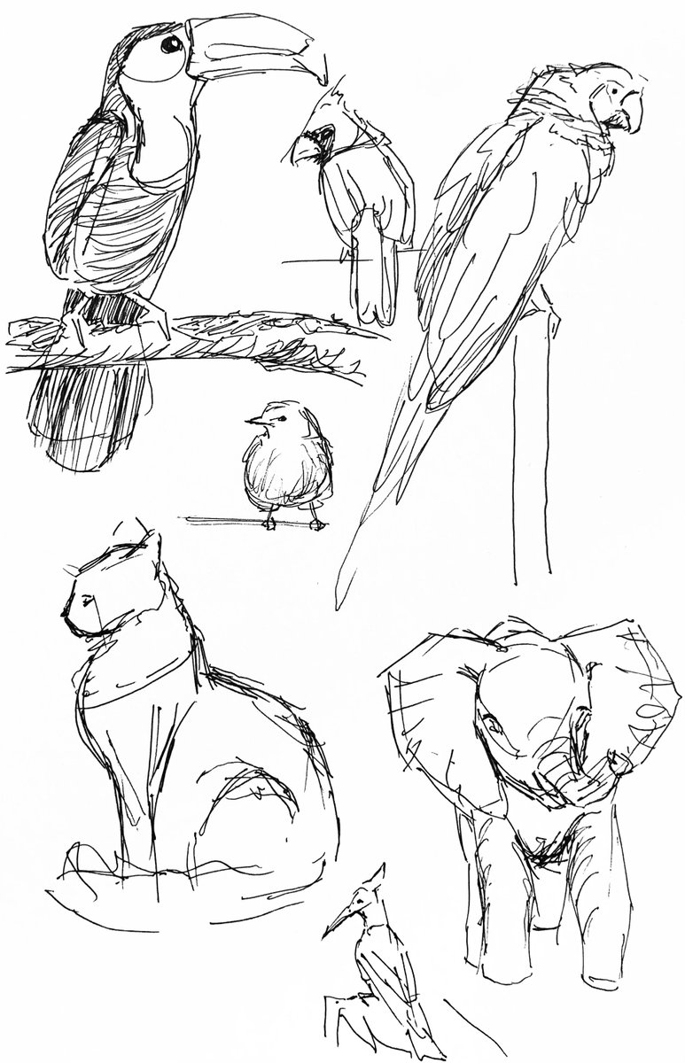 acdrawings1's tweet photo. Sketches 

#artistontwittter #sketchbook #digitalartist https://t.co/cFAYiAwm0m