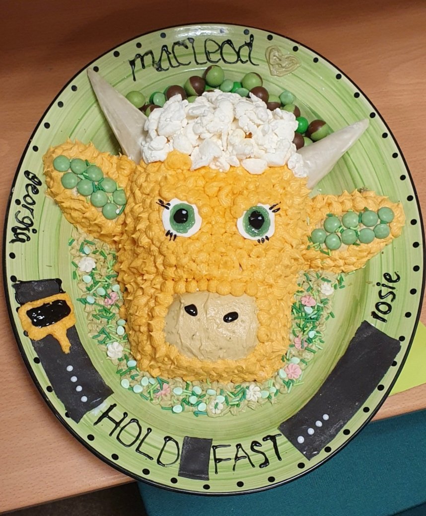 MacLeodHouseDS's tweet photo. Awesome display of baking skills and definitely no green food colouring left on the shelves in North East supermarkets. Well done to everyone for making and buying our House inspired cakes and raising money for our Giving Day 💚 https://t.co/5N37en3WvV