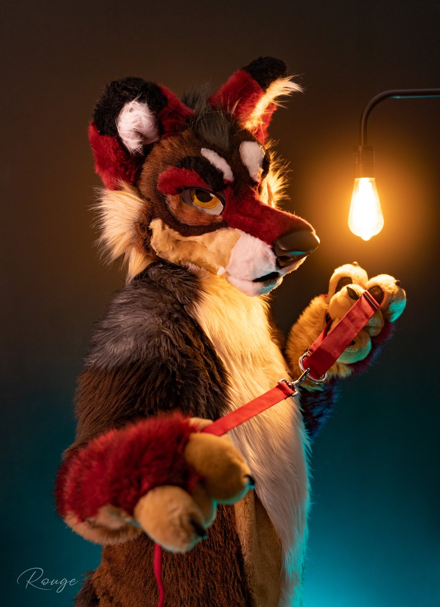 Come here and show me how you're going to light up day 💡😉 ✂: @MadeFurYou 📷: @snarlwolfy