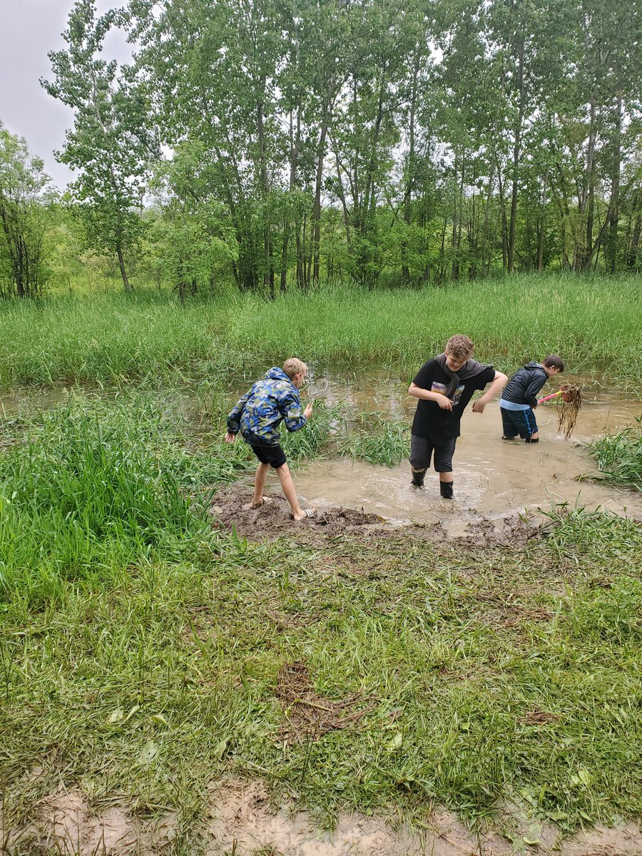 amhamrick1's tweet photo. Pond life @Otsego_Grade6 https://t.co/qKzzO3llGo