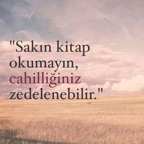 028ertugrul's tweet photo. Ortama Uygun.😎 https://t.co/IlMBOKI2fZ