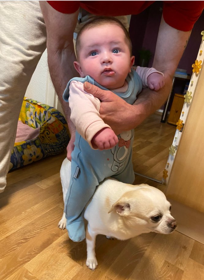 RennSemmel81's tweet photo. Schwiegerpapa und Frau machen mit klein Anthony Blödsinn. ... Da kommt mir doch glatt ne Idee! https://t.co/8f9PN63y2Y