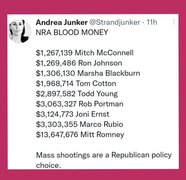Linjabjork's tweet photo. #GOPDeathCult #GOPGunsOverPeople @MittRomney @RonJohnsonWI @MarshaBlackburn @ToddYoungIN @robportman @joniernst @marcorubio #MitchMcConnell #mittromney #ronjohnson #marshablackburn #toddyoung #robportman #joniernest #MarcoRubio https://t.co/7MOr9uMcvv