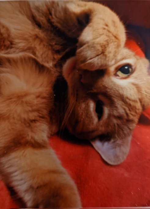 @Momogasi https://t.co/VCcG0MKnDV<a class="tags" target="_blank" title="On Twitter" href="/?out=eyJ0eXAiOiJKV1QiLCJhbGciOiJIUzUxMiJ9.eyJpYXQiOjE3MjYyNzUzNTksImlzcyI6InR3cG9ybnN0YXJzLmNvbSIsIm5iZiI6MTcyNjI3NTM1OSwiZXhwIjoxNzU3ODExMzU5LCJyZWRpcmVjdF91cmwiOiJodHRwczovL3R3aXR0ZXIuY29tL01vbW9nYXNpIn0.wlkpNzchjiEsS90HE0bRilRcP6kec69s3hgfsZRFO6-ppD1VjWCPE8y_tfgu4bodLYqlORX0gen96of0mNtdwA">@Momogasi</a>