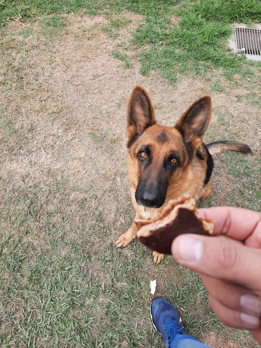 WalMaxburgos's tweet photo. Estoy comiendo algo y automáticamente quien aparece!?
Hola! Que hay?
#Yanay https://t.co/0ofr5du6ts