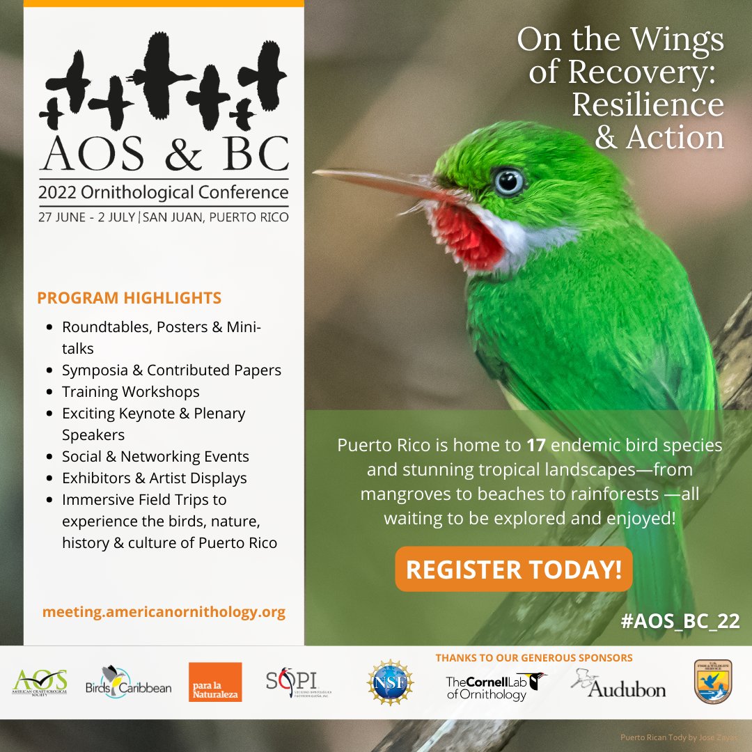 Register now for #AOS_BC_22! Join us in sunny San Juan from 6/27–7/2 for a joint #ornithological conference of @AmOrnith & @BirdsCaribbean w/ our local hosts @paralanaturalez & @Aves_PuertoRico. Regular registration rates end 5/31/22. meeting.americanornithology.org/participate/re…