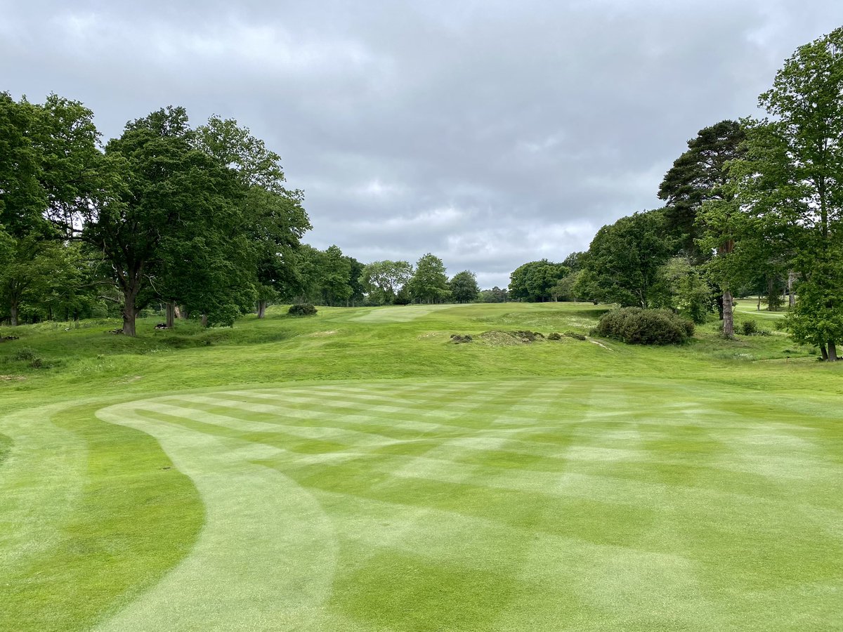 ππΆππ π«ππππππΉ (@plestee) on Twitter photo We are County Championships <a href="/StonehamGC/">Stoneham Golf Club</a> readyβ¦ bring on the next three days of golf. Team have been fantastic ππ»ππ»πͺπ» #TeamStoneham We are County Championships <a href="/StonehamGC/">Stoneham Golf Club</a> readyβ¦ bring on the next three days of golf. Team have been fantastic ππ»ππ»πͺπ» #TeamStoneham