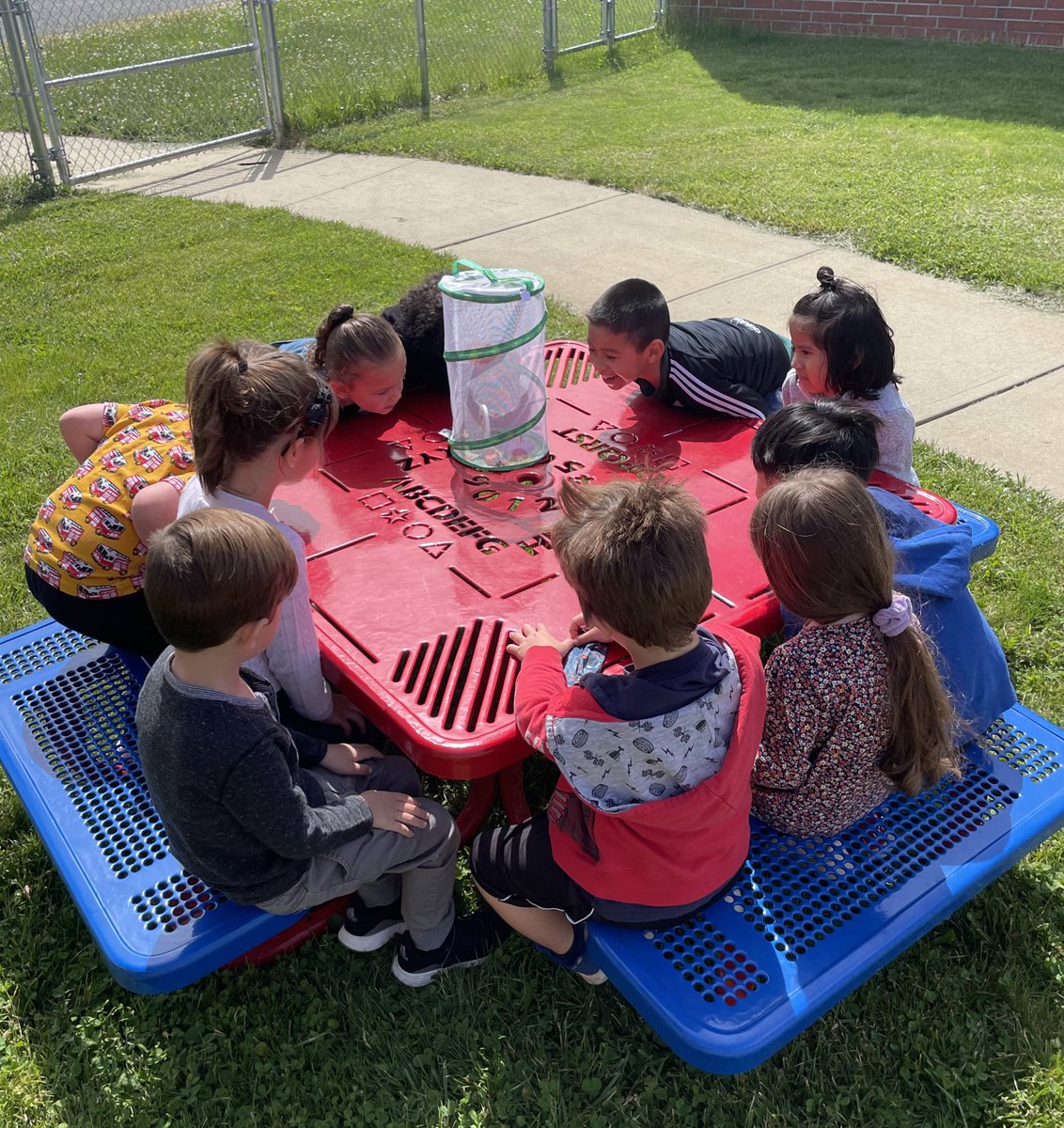 Amanda Siegman tweet media