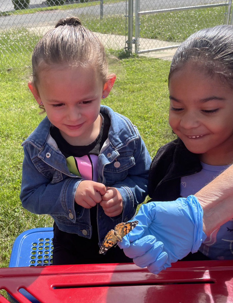 Amanda Siegman tweet media