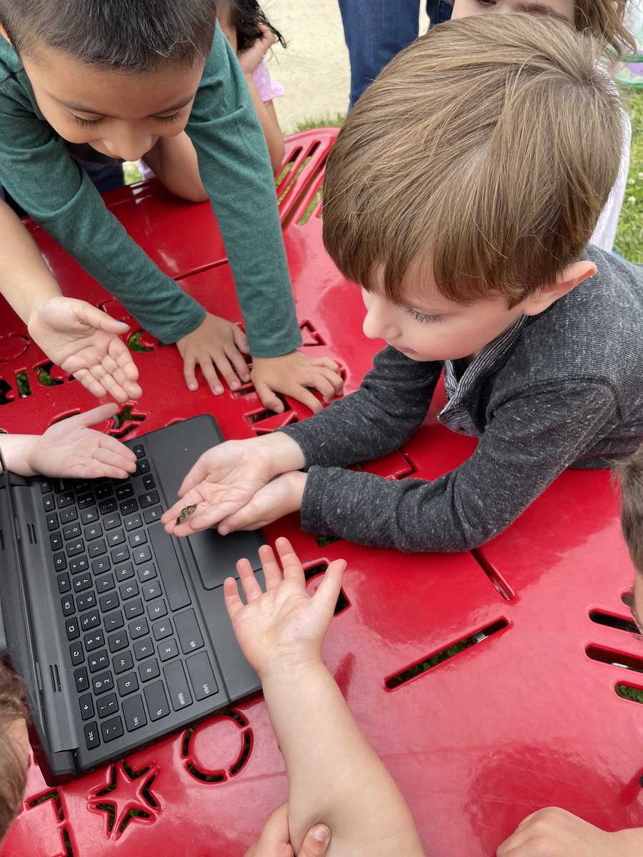 Amanda Siegman tweet media