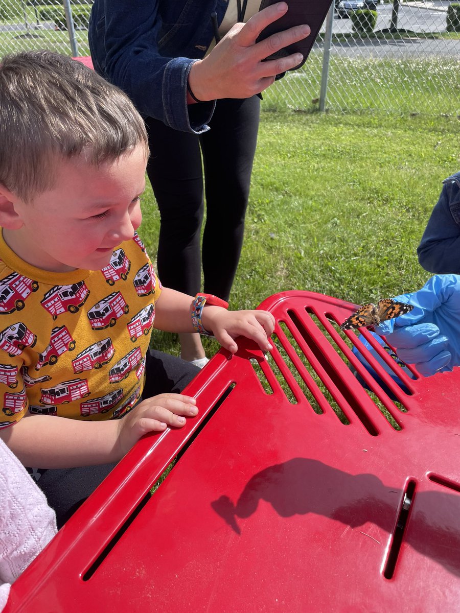 Amanda Siegman tweet media