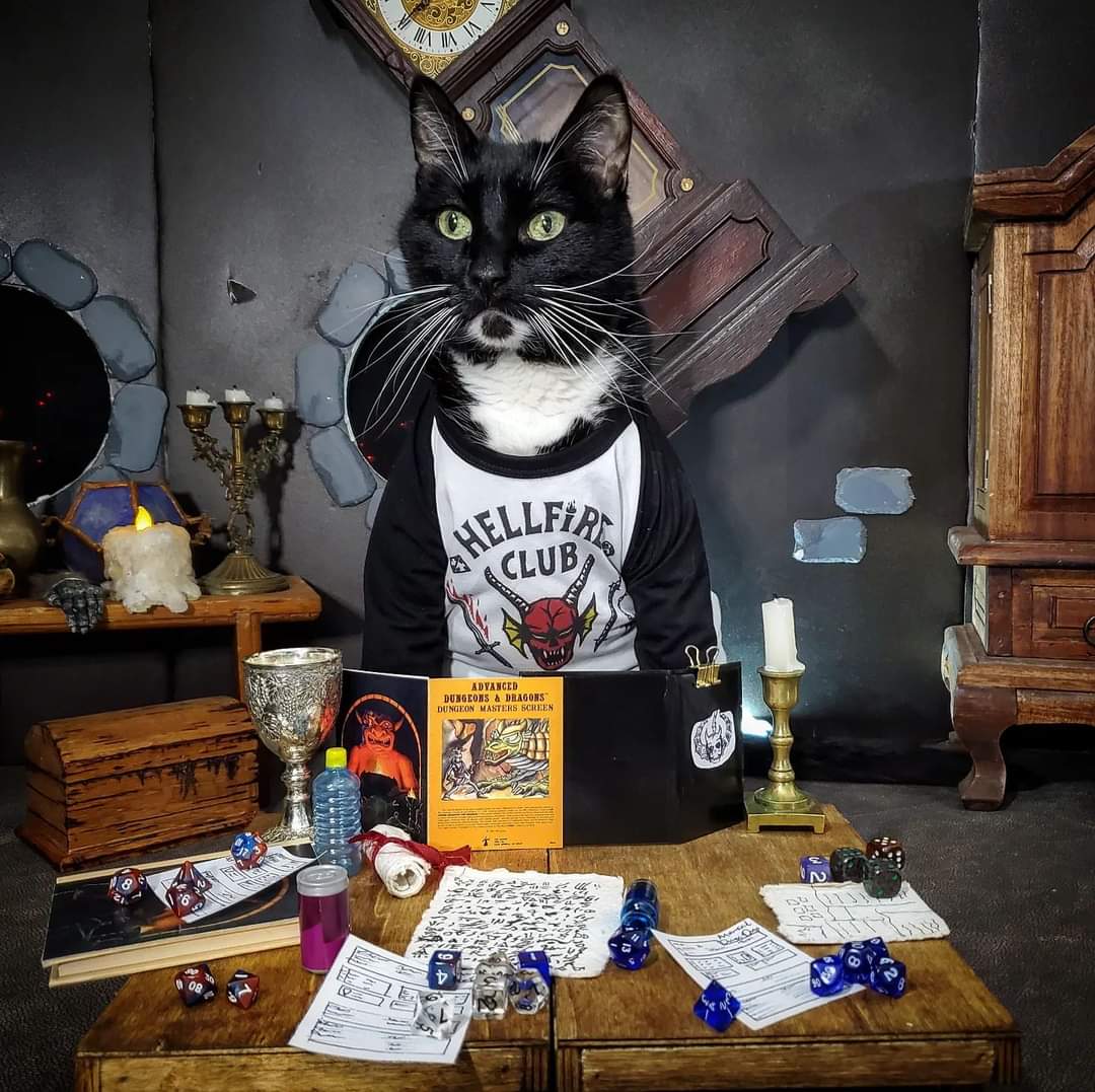 Cat_Cosplay's tweet photo. Maybe tomorrow we can play D&amp;D?
Or something fun, like we used to?

#StrangerThings4 https://t.co/JUjqBUPEiC