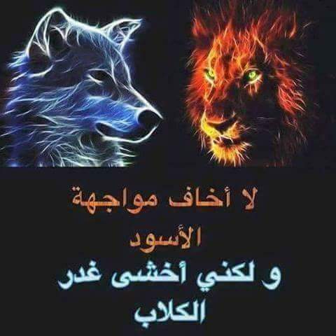 مصري مقيم في عمان (@bdallhalnmr16) on Twitter photo 