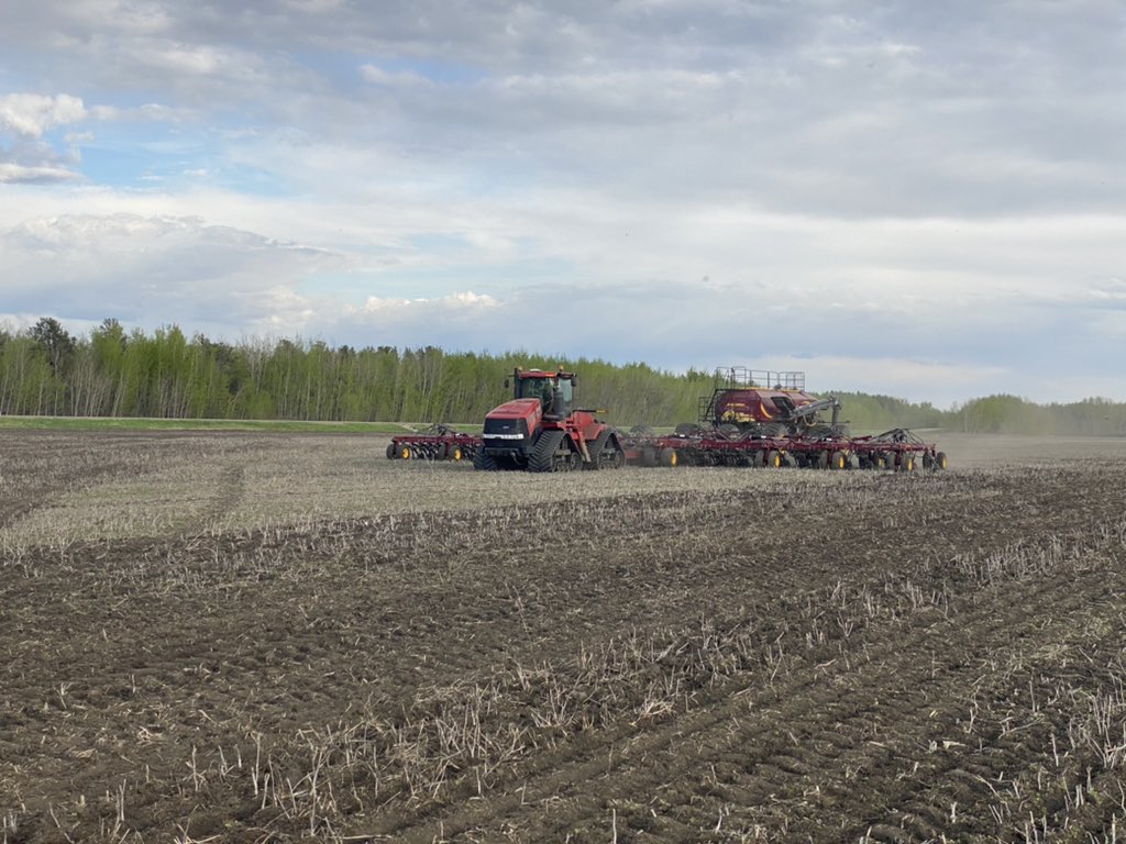 Underseeded perennial ryegrass with barley yesterday no problem! <a href="/RedheadEquip/">Redhead Equipment</a> #redheadequipmentplant2022