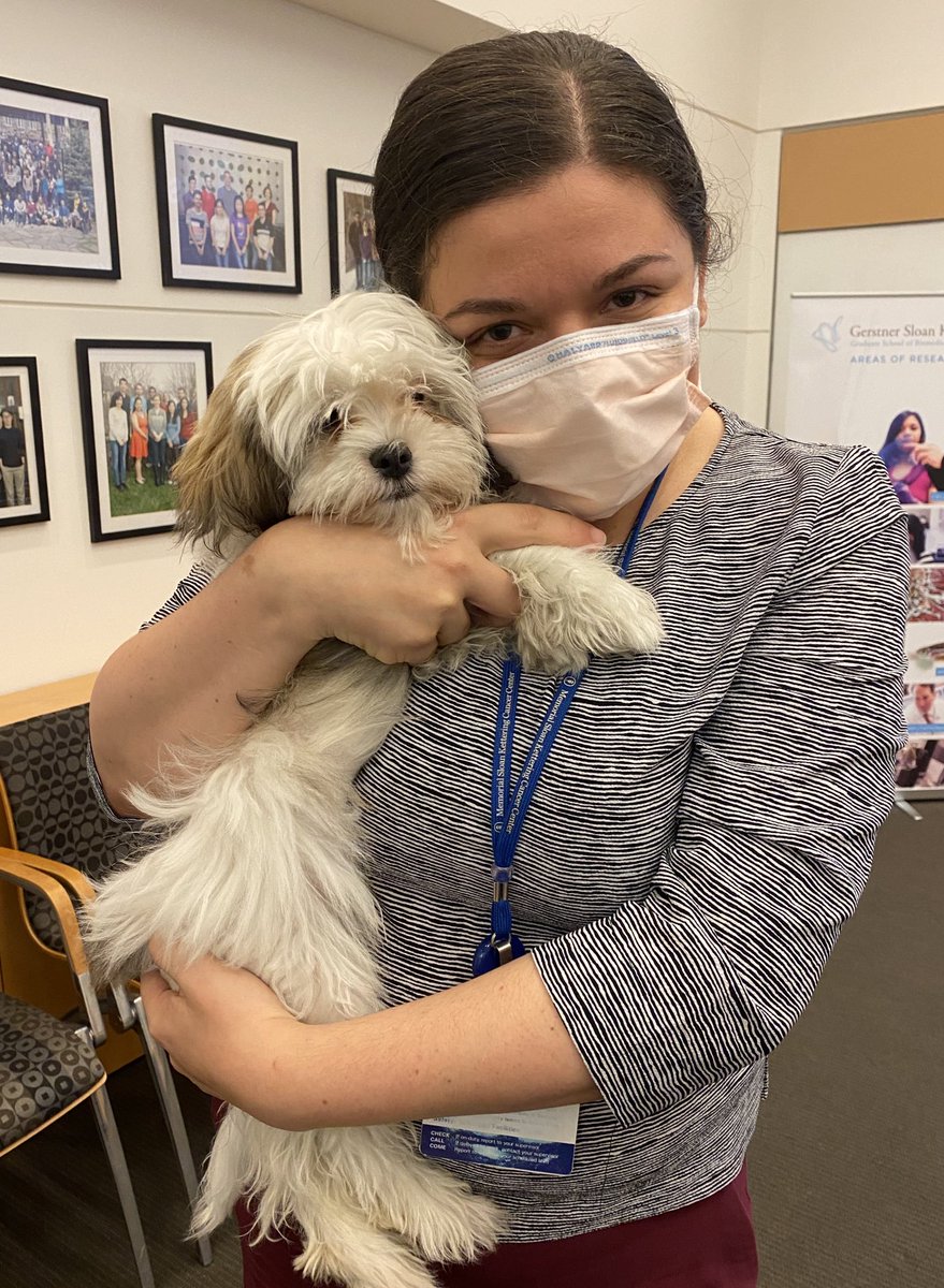 Yaihara Fortis Santiago tweet media