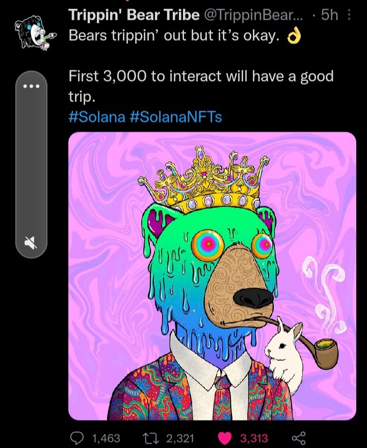 Mustafree's tweet photo. @TrippinBearNFT It's great 👌 https://t.co/WTAoaFmOh4