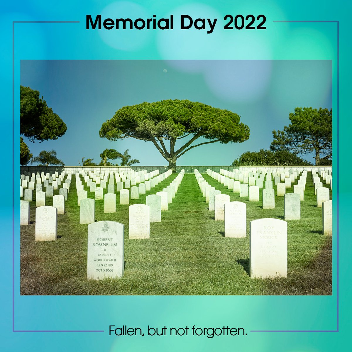 Lensfly's tweet photo. Lensfly will be closed Monday, May 30th in observance of Memorial Day.  

Orders picked up by May 28th will automatically have a FREE extra day added to the rental period. https://t.co/tH5AtjK10A