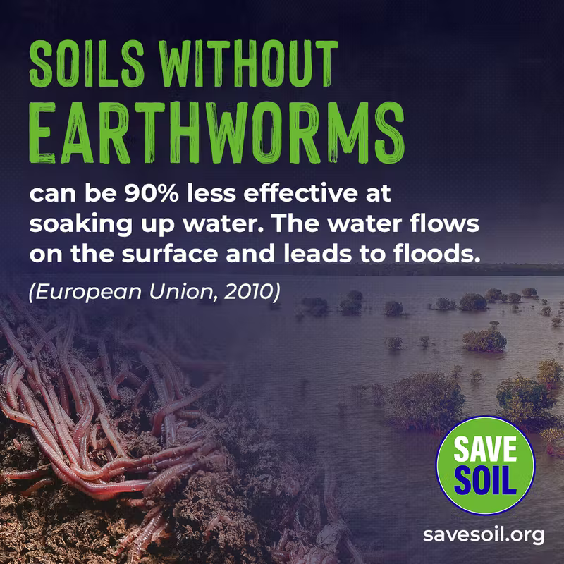 yographic39's tweet photo. Soils without earthworms can be 90% less effective at soaking up water. The water flows on the surface and leads to floods. (European Union, 2010) #SaveSoil https://t.co/1TUagapqEu
#ConsciousPlanet #LetsMakeItHappen
https://t.co/XiHMuMW6TR https://t.co/k0tHHoc8j4