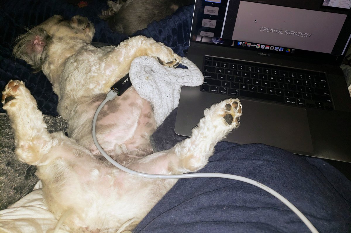 Anne Cull tweet media