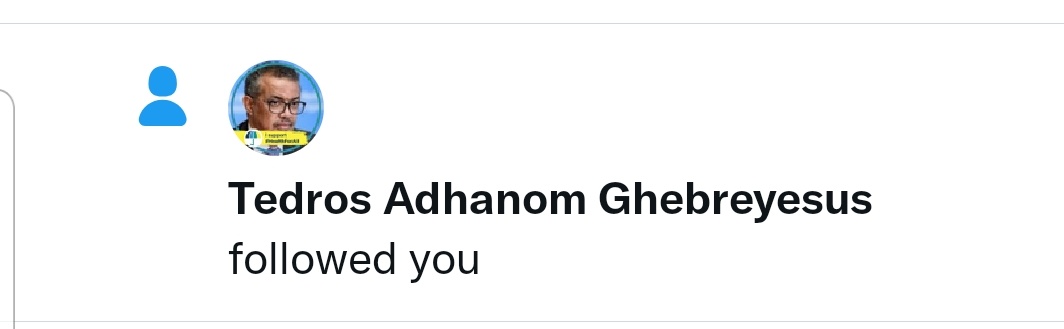 Eremias Woldemikael tweet media