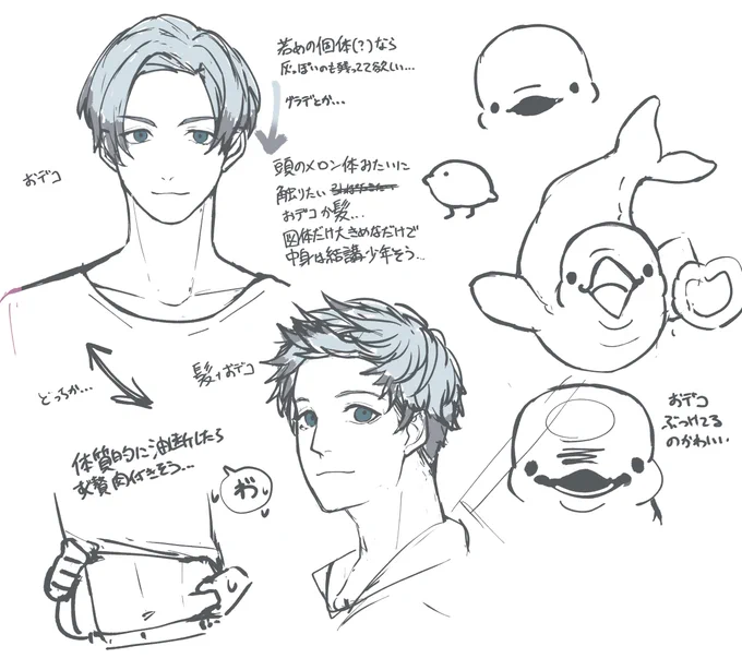 暫定シロイルカクン…と落書き…下のはただの好みの髪…… 