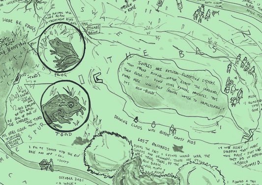 Saturday June 4th 1-3pm | Ellesmere St entrance | From Cowp to Nature Reserve| Big launch of our new public artwork made by our local communities in collaboration with  @Dialectographer Mitch Miller. Music,food <a href="/courtyardpantry/">Courtyard Pantry Enterprise</a> , face painting,arts, nature,fun.🖼🦋😁