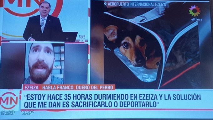 el_gallito78's tweet image. #LiberenACoco HIJOS DE PUTA o se pudre todo. 
#LIBERENACOCOYA