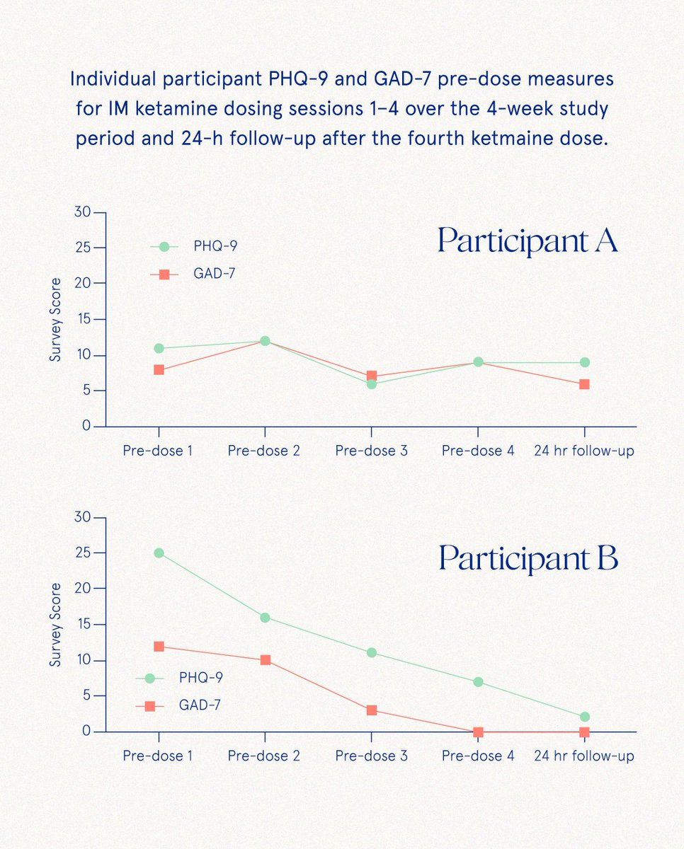 Novamind by Numinus tweet media