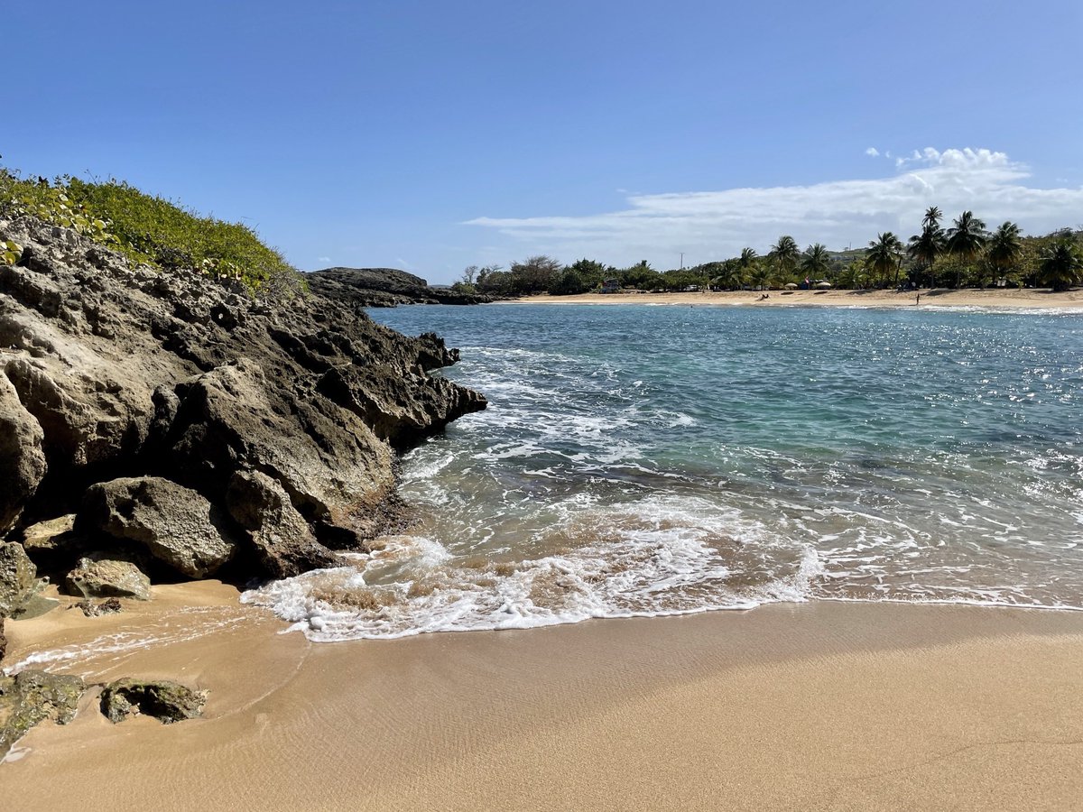 JohnnyRottenTV's tweet photo. @strategywoman It’s a beautiful day here in Puerto Rico and we stand with you 🤙🏼 https://t.co/52SVOuBHJO