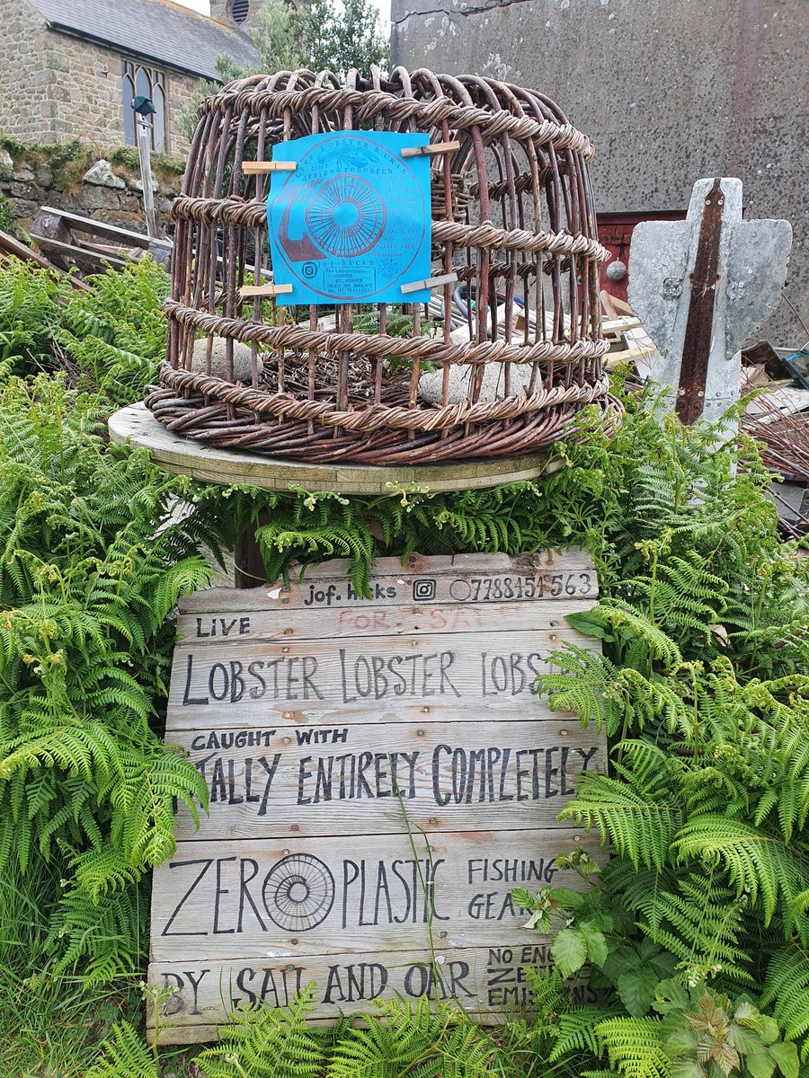 Jof's innovative work, creating sustainable, zero-plastic methods to catch fish and shellfish is just incredible.  👏🙌💚🌍🦞Go check it out next time you visit! 

#IslandLife #StAgnes #Scilly #IslesofScilly #SustainableScilly  #ZeroWasteScilly <a href="/visitscilly/">visitscilly</a> @ScillyWildlife <a href="/mcsuk/">Marine Conservation Society</a>