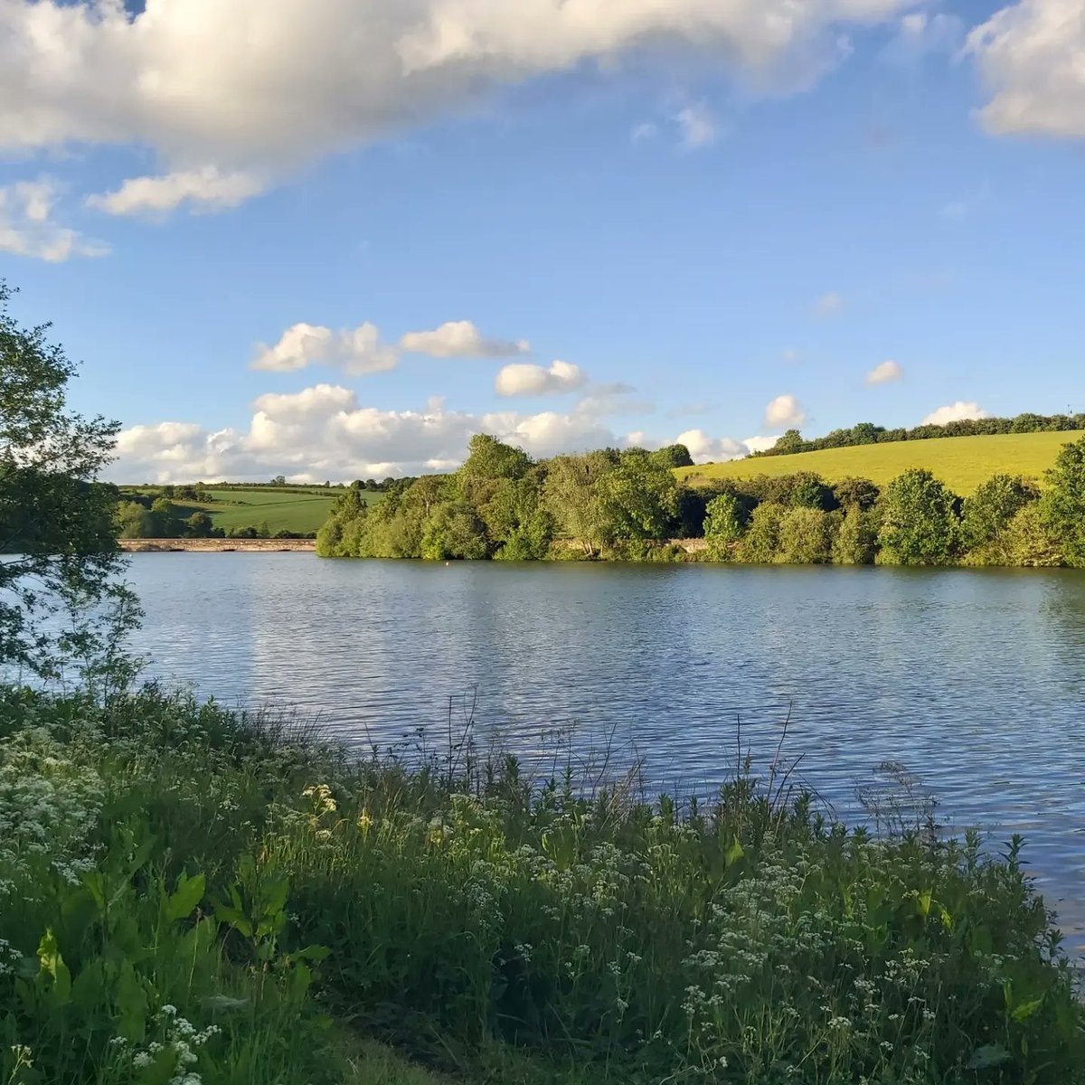 Fiondi's tweet photo. Gorgeous evening for a wander round #Ulley reservoir and thru the fields 😎 https://t.co/FiXXLKBqZk
