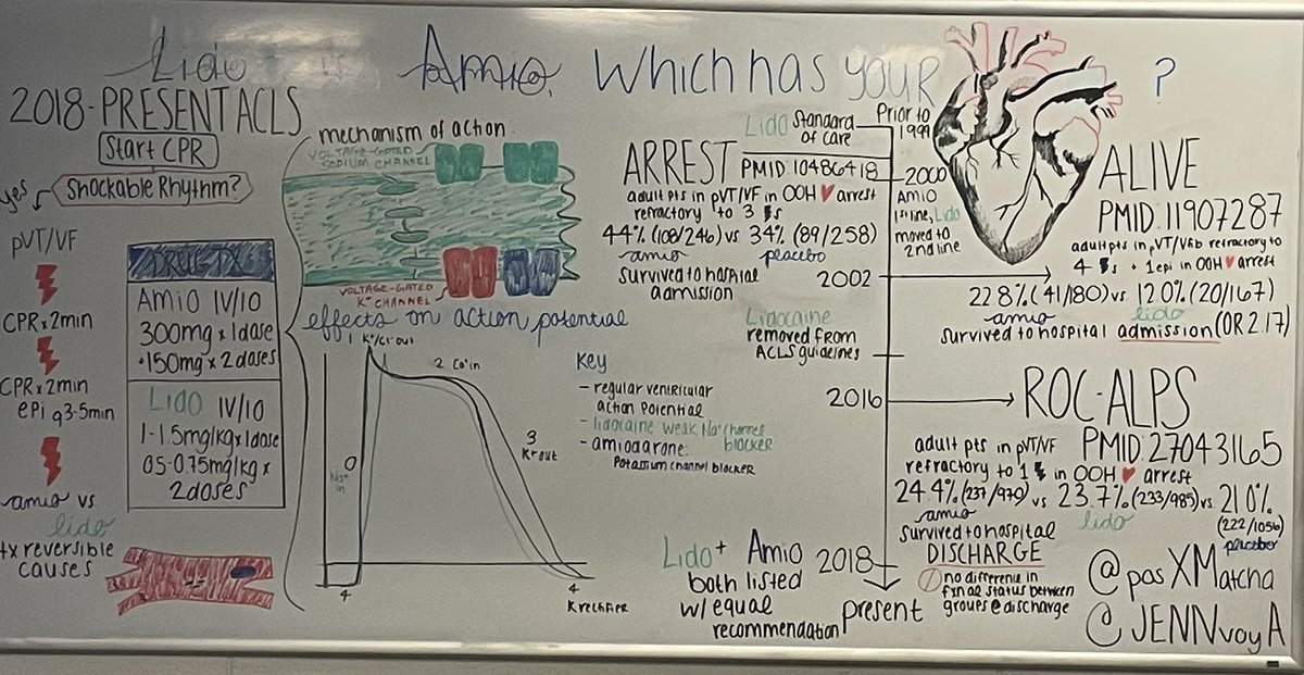 yenna, pharmd (@jennvoya) on Twitter photo amio and lido are both equally recommended in the most recent ACLS guidelines, but that wasn’t always the case! Checkout the white board below for a play by play of guideline updates:
<a href="/posXMatcha/">Melissa Matcha</a> amio and lido are both equally recommended in the most recent ACLS guidelines, but that wasn’t always the case! Checkout the white board below for a play by play of guideline updates:
<a href="/posXMatcha/">Melissa Matcha</a>
