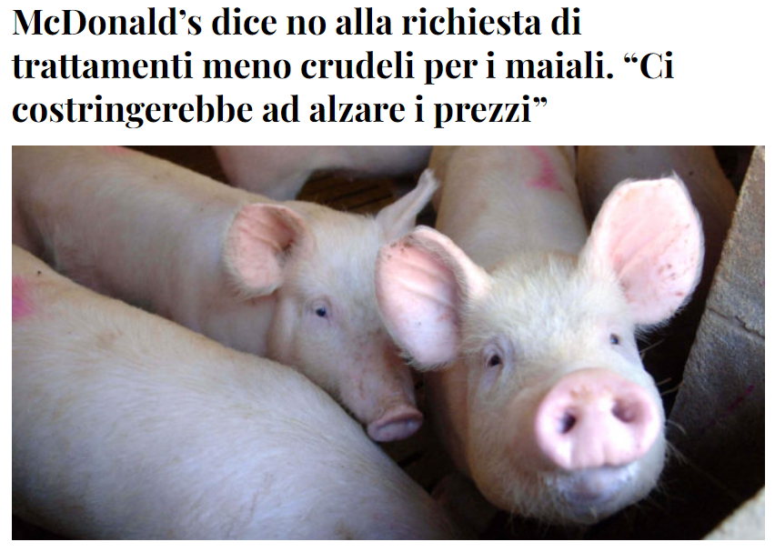 NON ACQUISTERO' MAI I VOSTRI PRODOTTI.
Vegetariano dal 1990, ormai sono più di 30 anni.