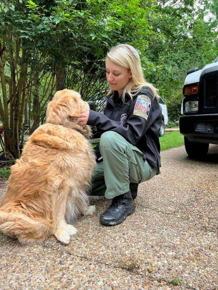 ccpdanimalsvcs's tweet photo. Yesterday, we hosted a multi-jurisdictional in-service training for Animal Services Officers and staff. We wanted to thank the @RichmondSPCA for animal behavior training, the Attorney General's Office for legal update, &amp; Loving Acres Farm Sanctuary for educating us on livestock! https://t.co/0xVlIr3vMP