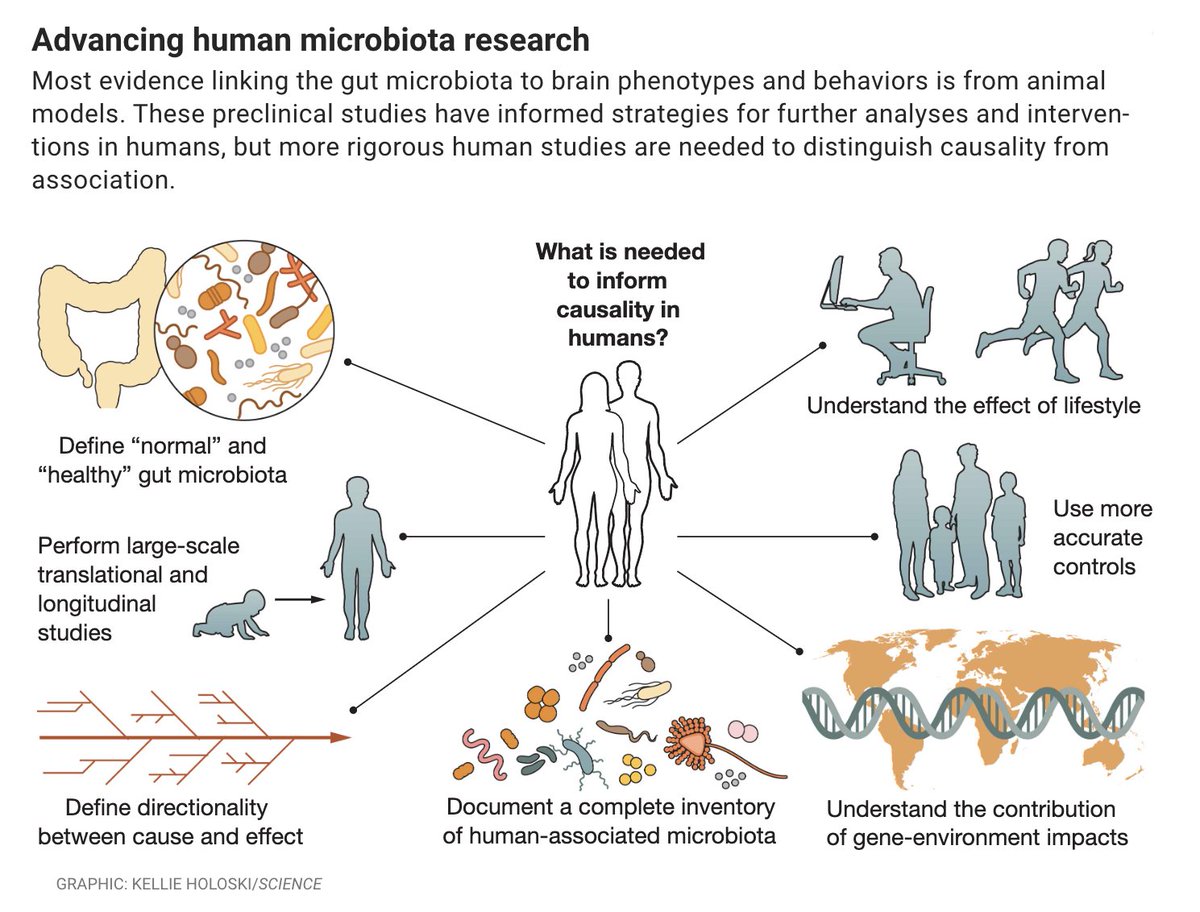John F. Cryan (@jfcryan) on Twitter photo Microbiota–brain axis: Context and causality
from Sarkis Mazmanian & I in <a href="/ScienceMagazine/">Science Magazine</a>
science.org/doi/10.1126/sc… Microbiota–brain axis: Context and causality
from Sarkis Mazmanian & I in <a href="/ScienceMagazine/">Science Magazine</a>
science.org/doi/10.1126/sc…